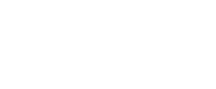 R Bines Consulting